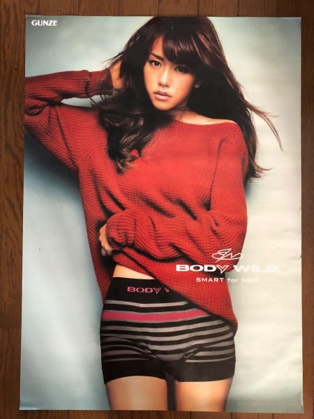 桐谷美玲 グンゼ 下着見せ ポスター GUNZE BODY WILD B2 パンチラの