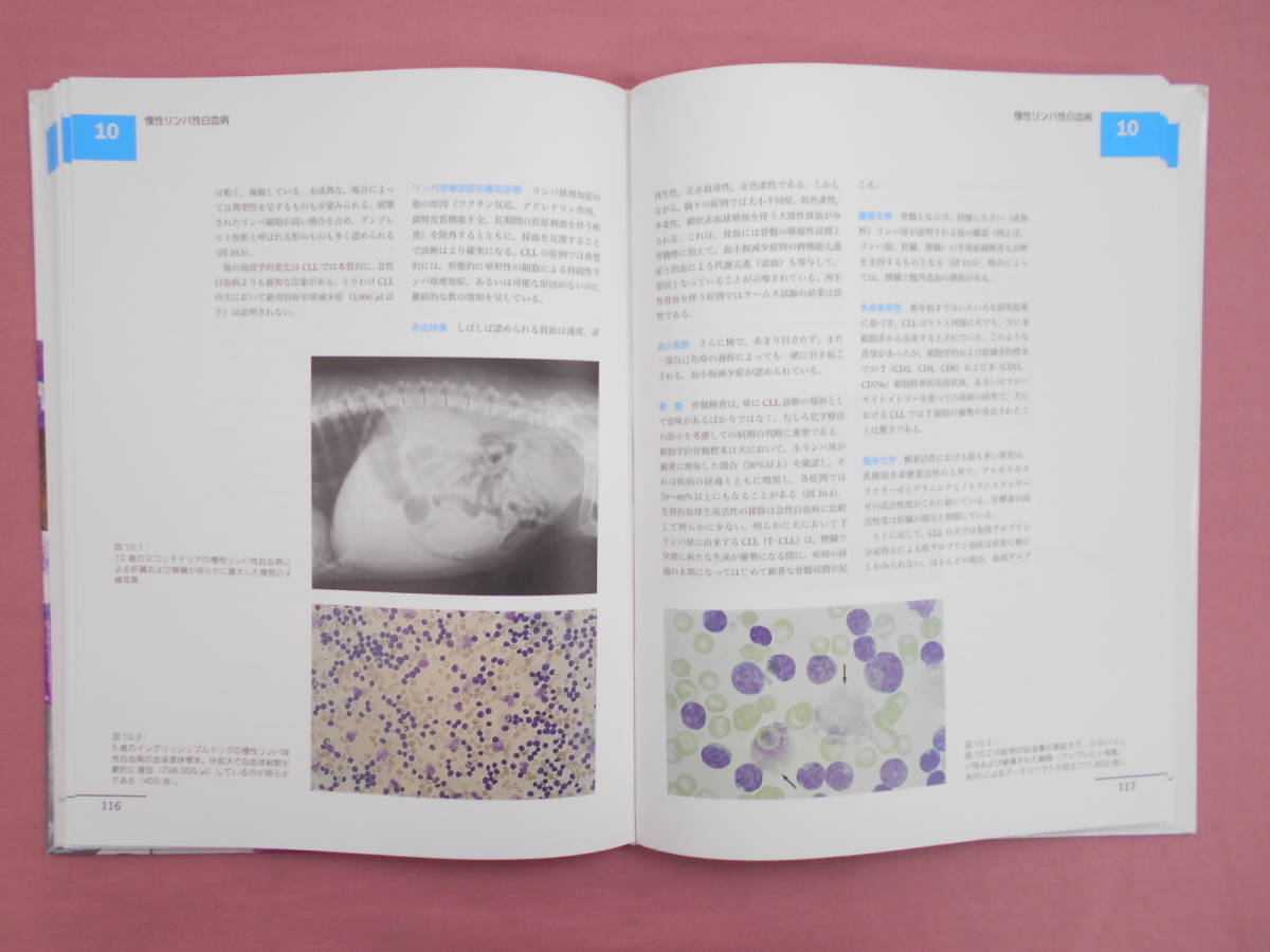 図でみる犬と猫の実践血液学 』 Reinhard Mischke 著 長谷川篤彦 監修