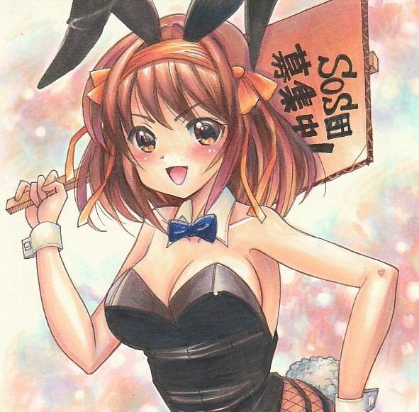 同人手描きイラスト 涼宮ハルヒ バニーガール サイズ 手描きイラスト 売買されたオークション情報 Yahooの商品情報をアーカイブ公開 オークファン Aucfan Com