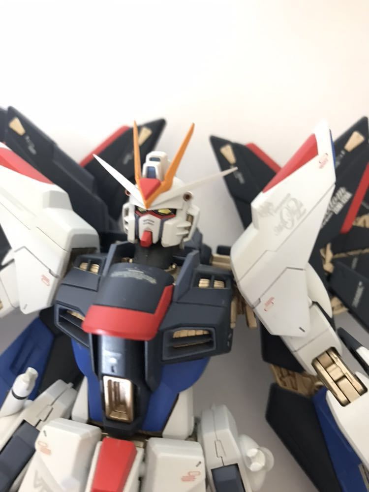 MG ストライクフリーダムガンダム 塗装済み完成品 【公式通販】