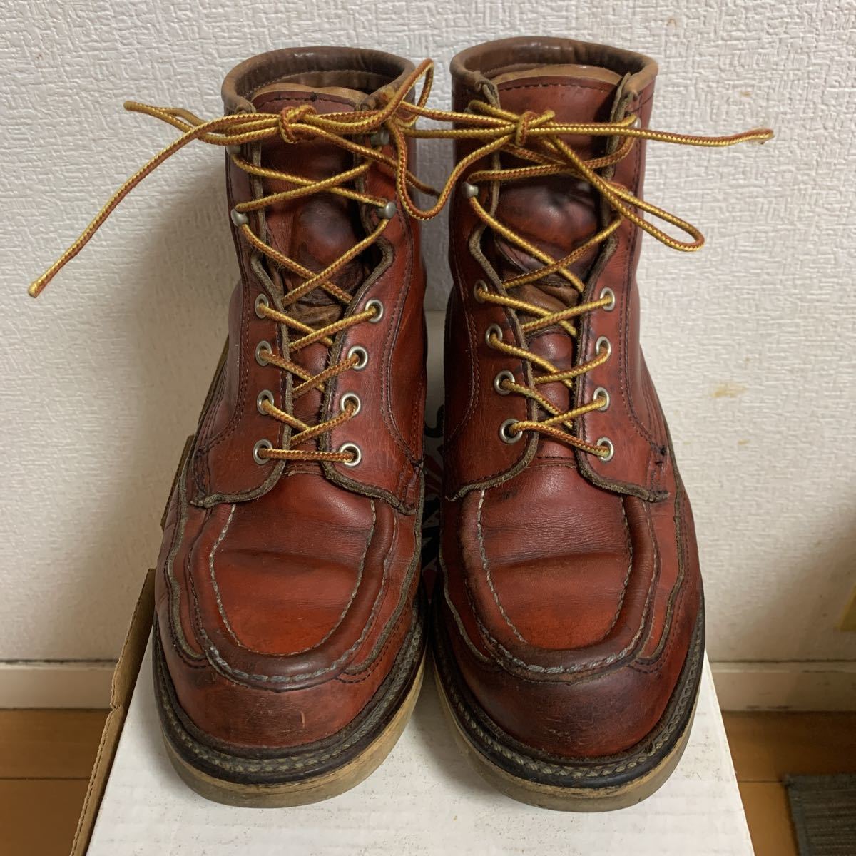 REDWING レッドウイング 50周年モデル 1951 アイリッシュセッター 