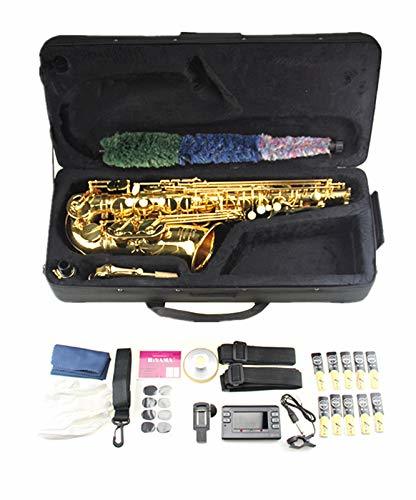 新品未使用☆残りわずか☆色①ゴールド・セット 【Hilax】初心者 入門
