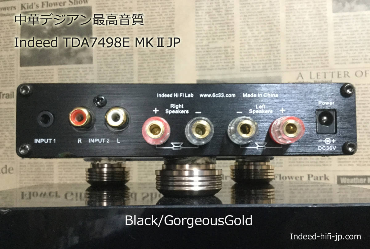 Indeed TDA7498E 中華デジアン最高音質 MKⅡJP Gold Black⁄Rich