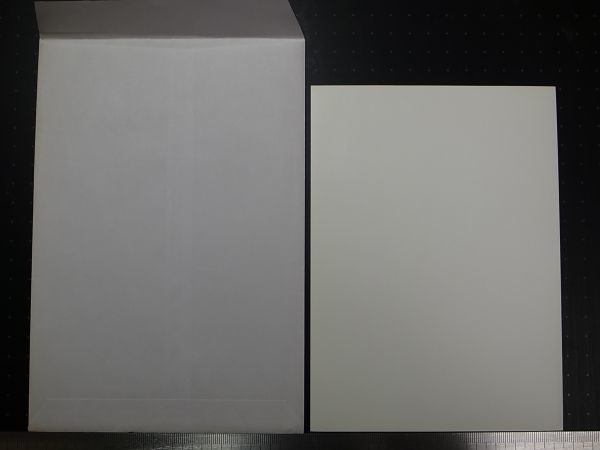 P016　大本関連資料：出口王仁三郎■大本みろく大祭記念品　七福神（弁財天）写真　1枚　平12年　_2