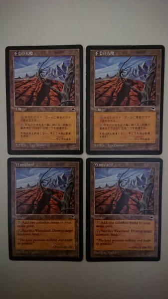 MTG 不毛の大地/Wasteland TMP 日本語2枚英語2枚セット Magic: The