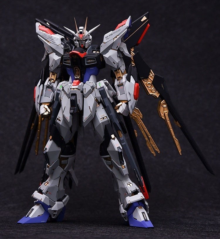 Fortune Meow's Studio 1/100 MGストライクフリーダム 改造パーツ