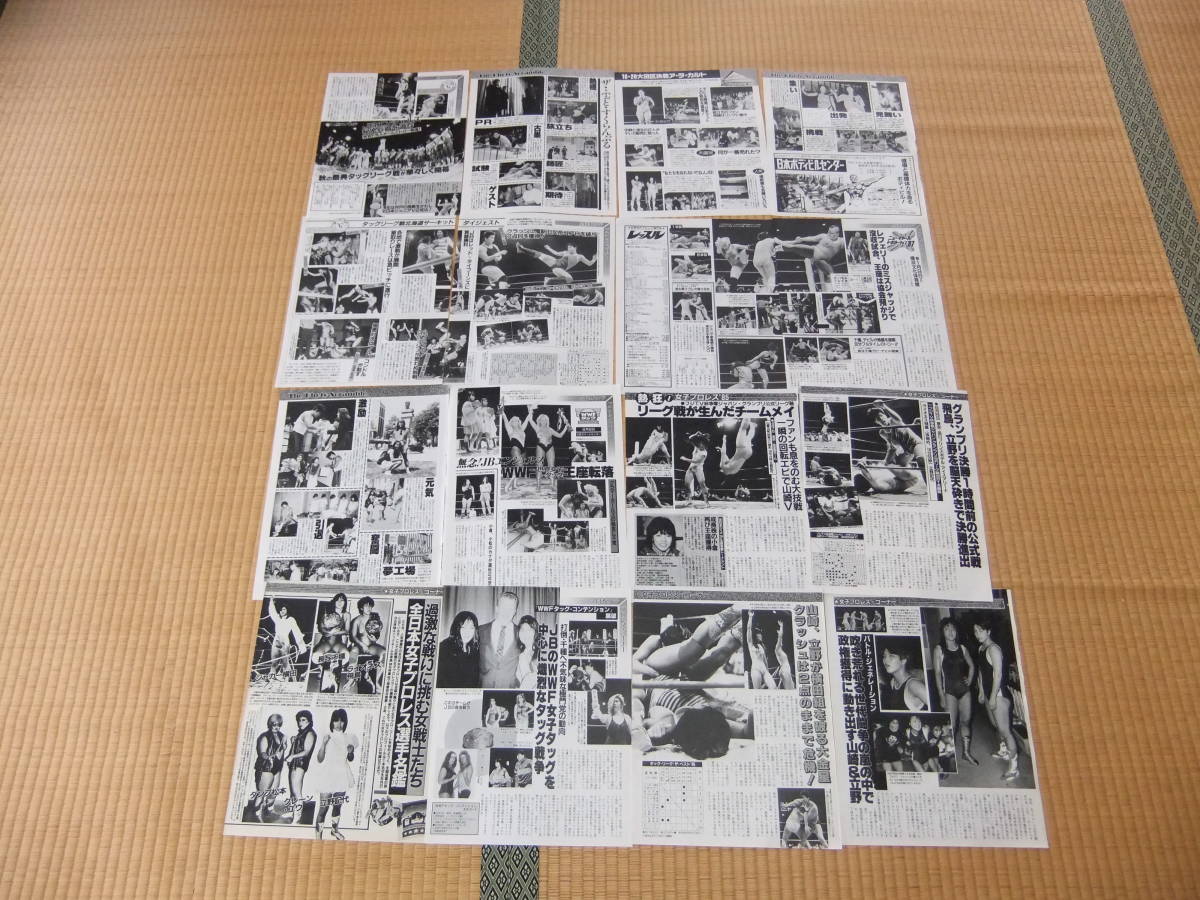 立野記代 切り抜き 75ページ アイドルレスラー セクシー 全日本女子プロレス Llpw Jbエンジェルス 巨乳 プロレス 売買されたオークション情報 Yahooの商品情報をアーカイブ公開 オークファン Aucfan Com