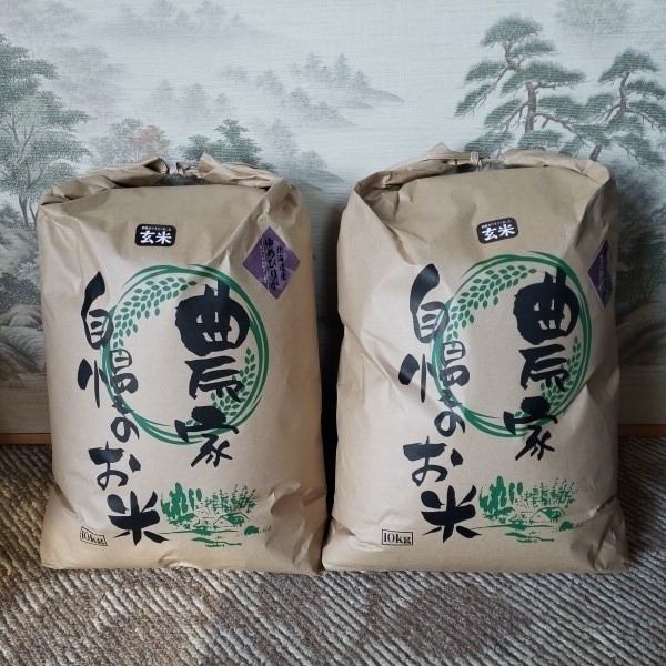 北海道令和元年産 新米ゆめぴりか 玄米10㎏×2 数量限定 【道内送料無料