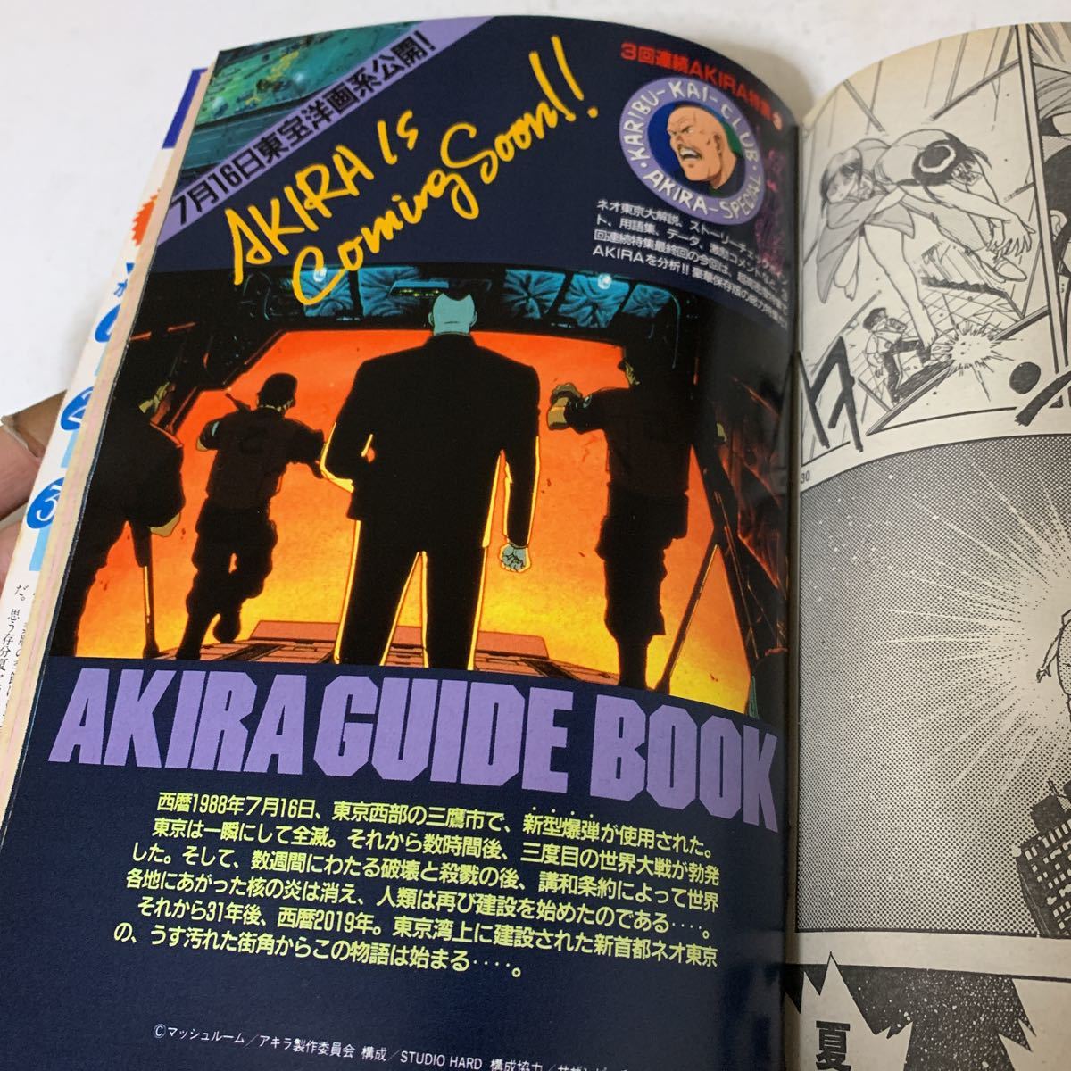 ヤングマガジン 海賊版 7号 大友克洋 アキラ AKIRA 特集 1988
