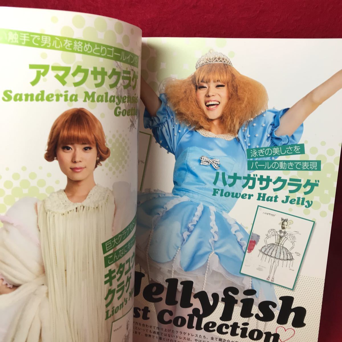 映画 海月姫 くらげひめ Official Photo Book 能年玲奈 長谷川博己 菅田将暉 片瀬那奈 太田莉菜 篠原ともえ 速水もこみち 馬場園梓 作品ガイド 売買されたオークション情報 Yahooの商品情報をアーカイブ公開 オークファン Aucfan Com