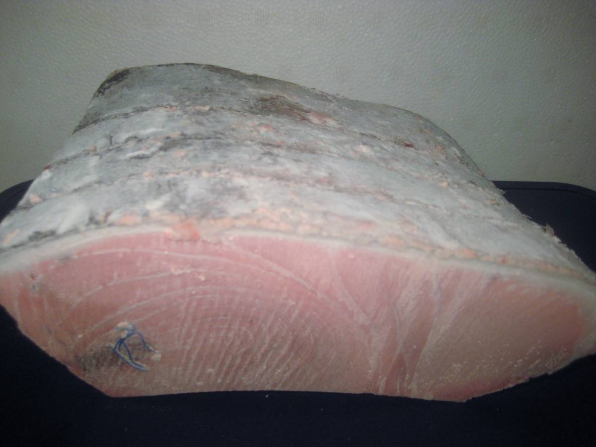 価格交渉あり！☆天然本クエ（アラ）　5.1kg前後　即決ご落札5枚おろし可　高級食材　玄界灘漁師　栄光まる直送 アラ クエ 価格交渉あり！☆天然本クエ（アラ） 海鮮 高級魚 特価業務用養殖本鮪（マルタ産）腹下&frasl;中トロ端