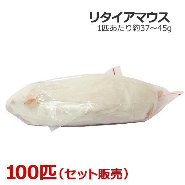 国産 冷凍マウス ファジー L 100匹 (送料無料一部地域発送) 国産 冷凍