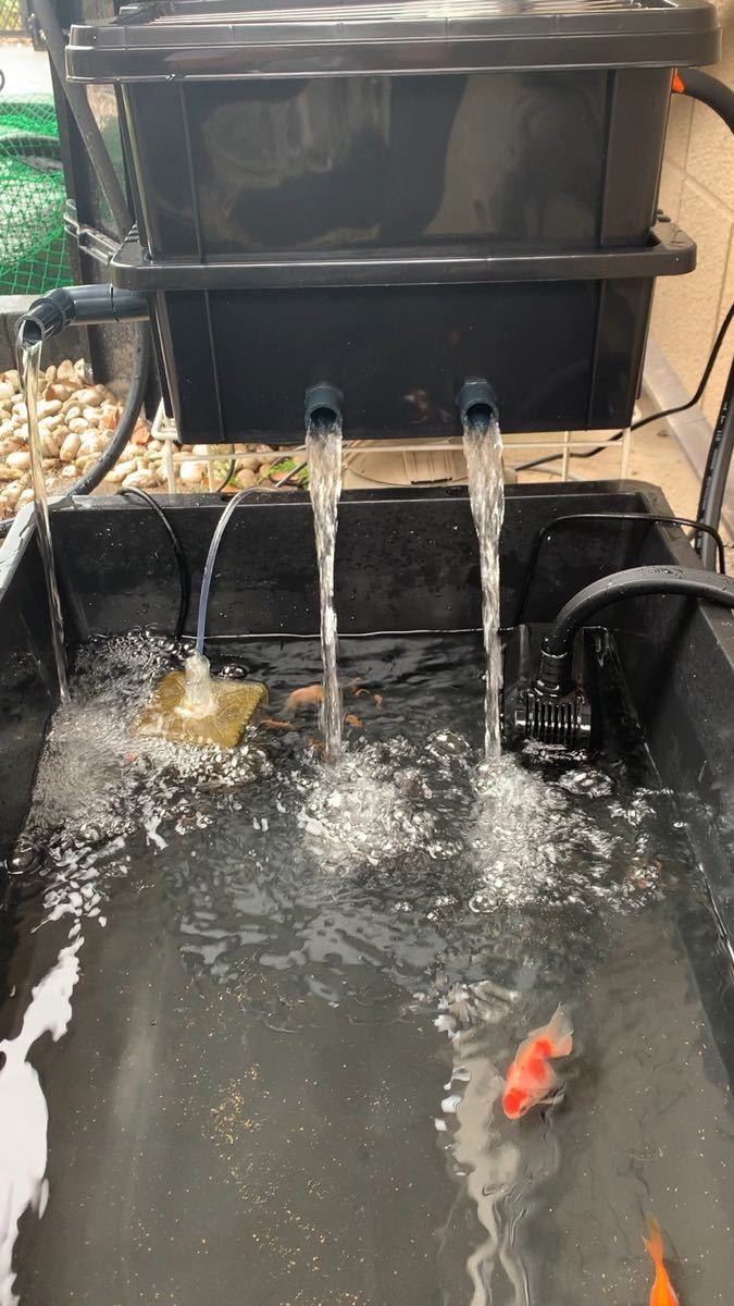 新作，セール 強力ウォータークリーナー濾過装置 金魚 錦鯉 亀飼育に(上部式)｜売買されたオークション情報、yahooの商品情報をアーカイブ公開 - オークファン 上部式