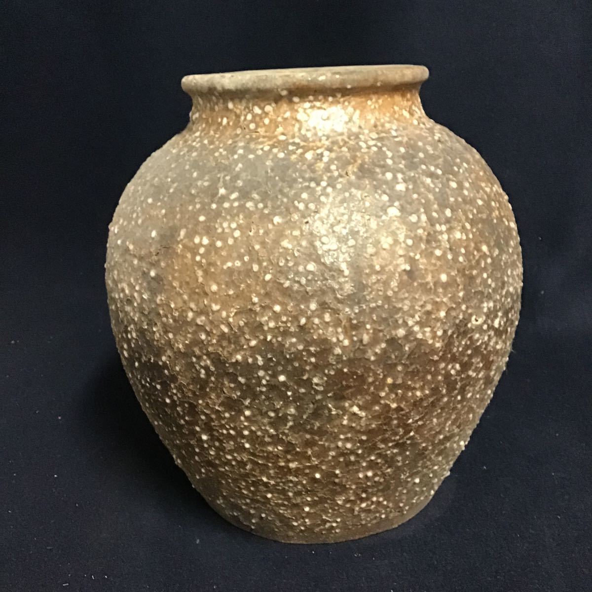 信楽焼 民藝 投げ入れ 花器 茶壺 簾 壷 すだれ釉壷 大型 フラワー