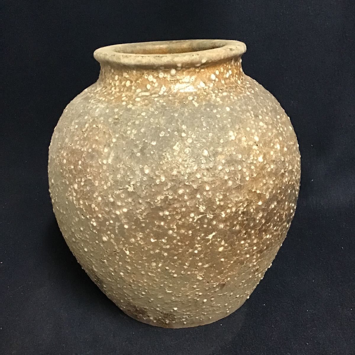 信楽焼 民藝 投げ入れ 花器 茶壺 簾 壷 すだれ釉壷 大型 フラワー