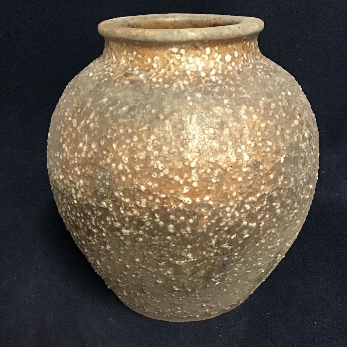 信楽焼 民藝 投げ入れ 花器 茶壺 簾 壷 すだれ釉壷 大型 フラワー