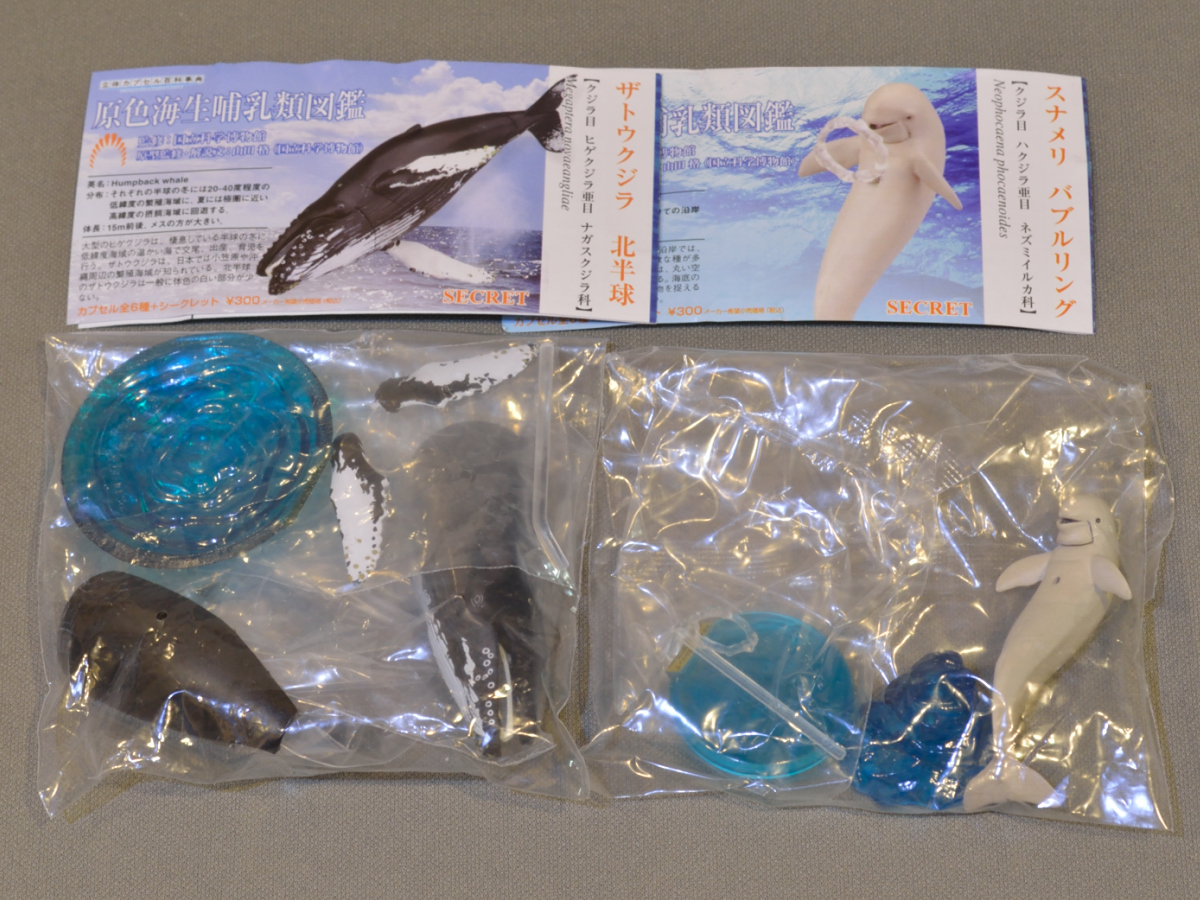 原色海生哺乳類図鑑 立体カプセル百科事典 - ジュゴン 授乳 シャチ全身