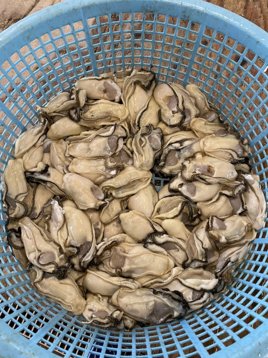 【最新作，HOT】 三陸産剥き身牡蠣1Kg 生食用(カキ)｜売買されたオークション情報、yahooの商品情報をアーカイブ公開 - オークファン カキ