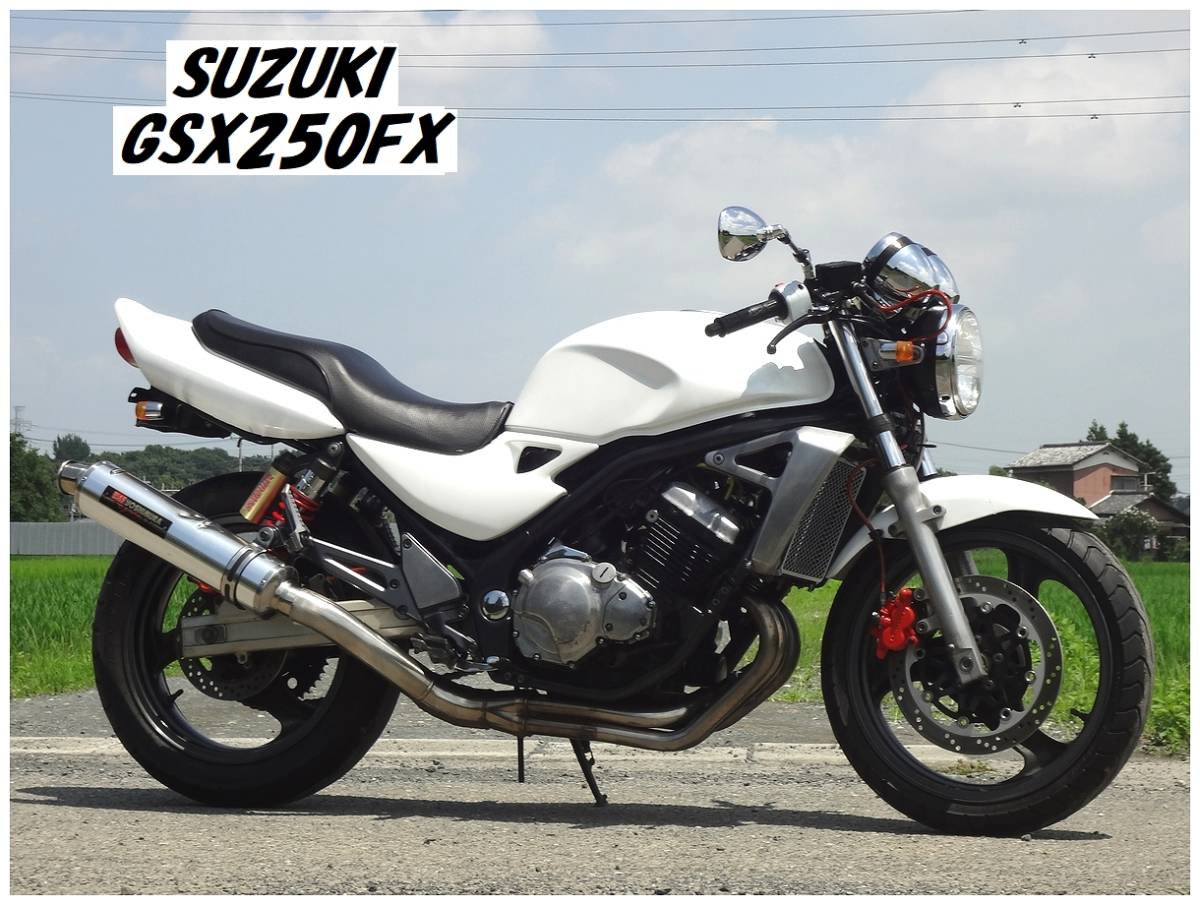 即決落札で送料1万円引キャンペーン中!! SUZUKI GSX250FX F1サウンド