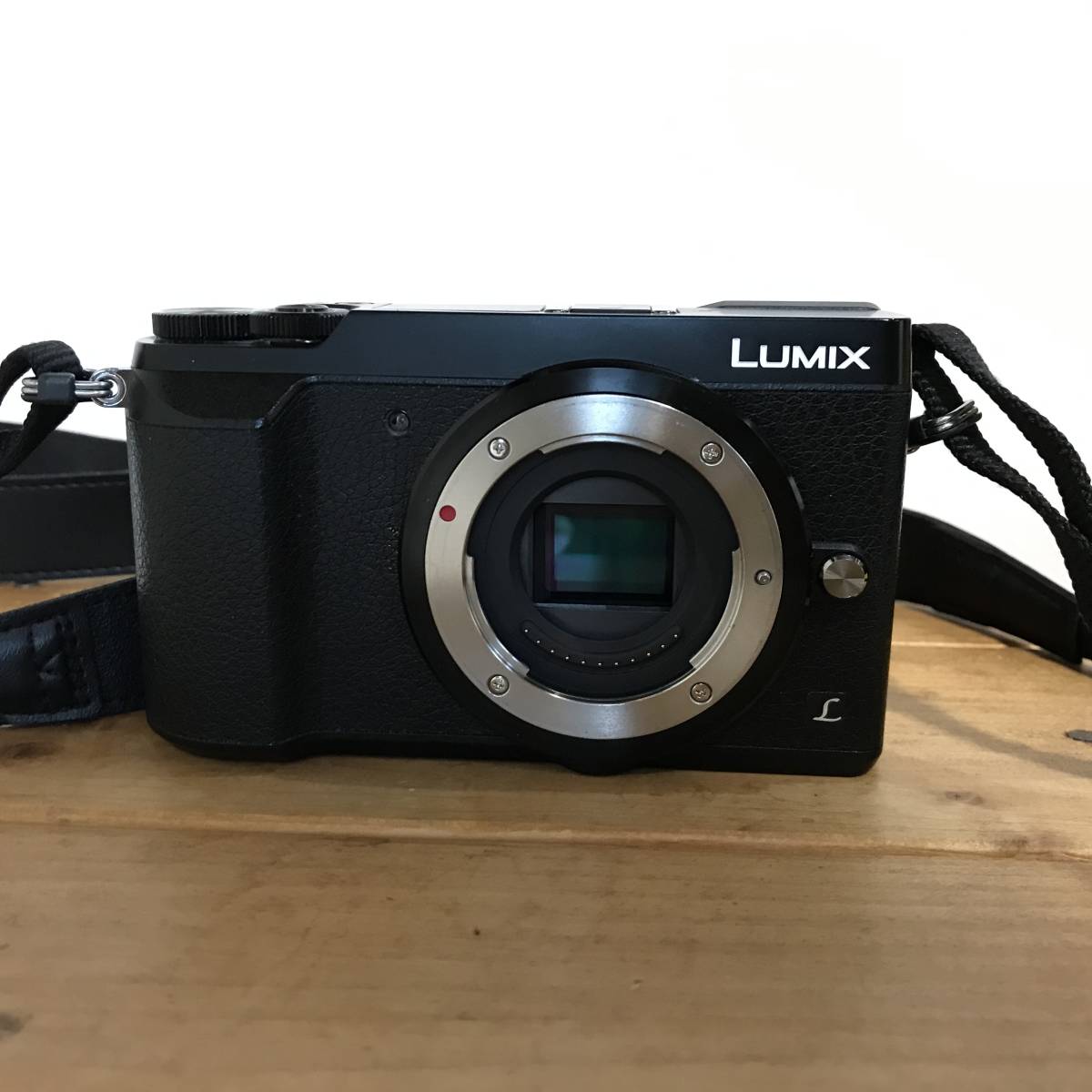 Panasonic LUMIX ミラーレス一眼 DMC-GX7MK2 G VARIO 12-60mm F3.5-5.6 