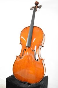 RUDOLPH FIEDLER チェロ GC-1 Anno 2001 fiedler」(弦楽器) Yahoo