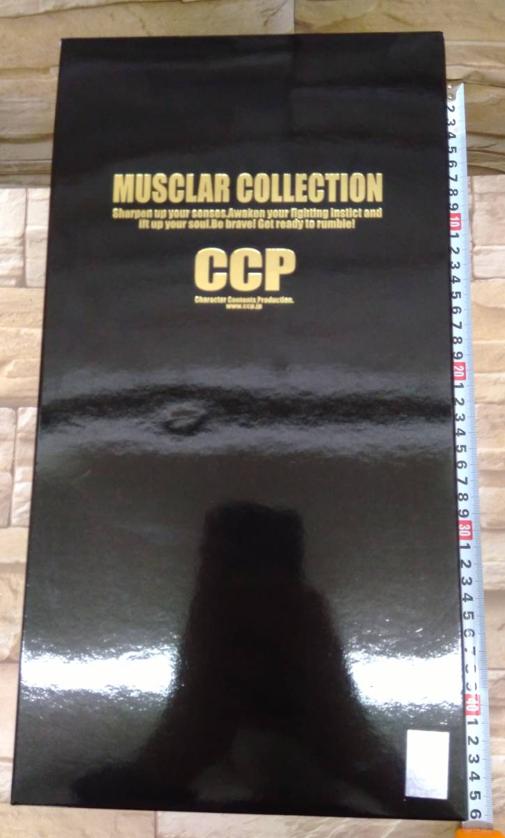 CCP CMC NO.36 ザ・ニンジャ 後期登場 Ver. 原作 パープルメタリック