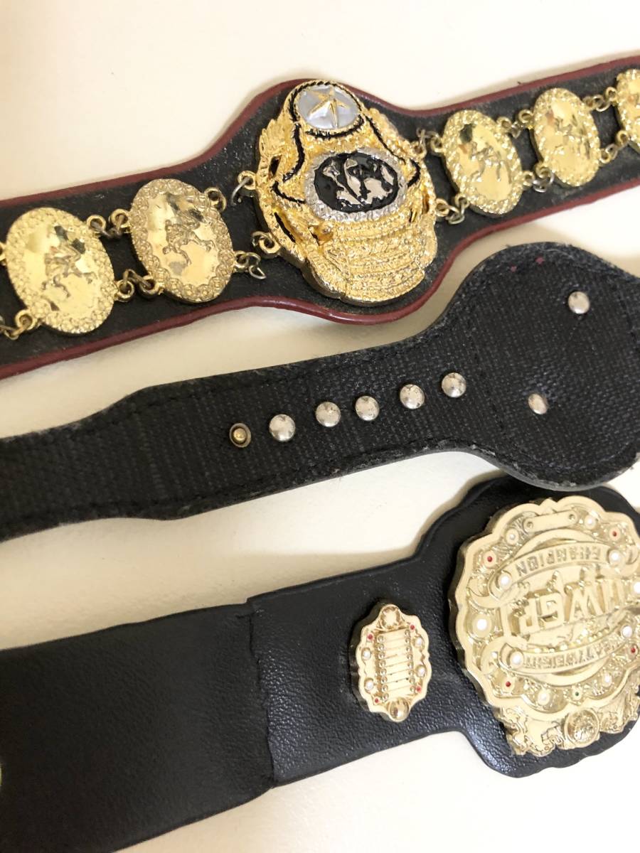 プロレス武藤敬司が素顔でIWGPヘビー級、グレート・ムタで三冠 TDK7