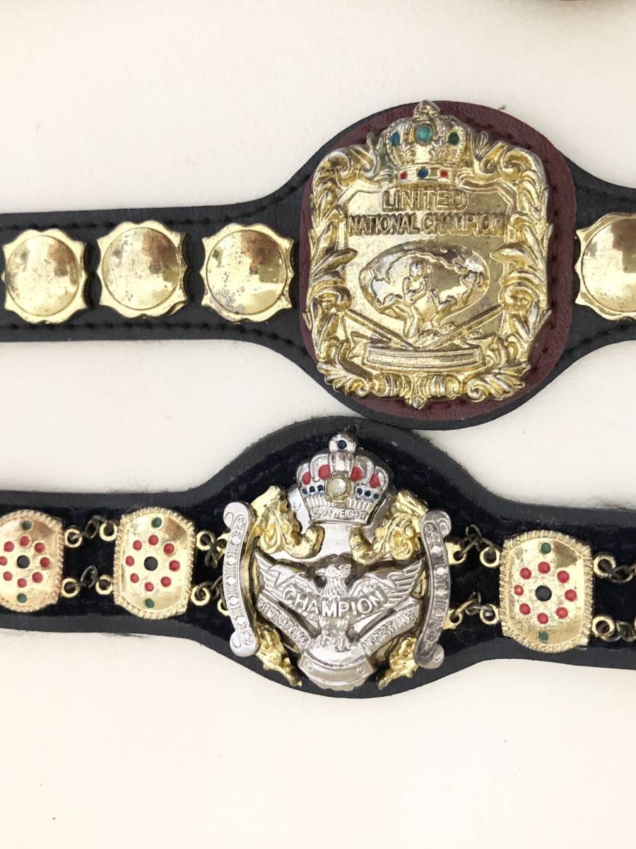 プロレス武藤敬司が素顔でIWGPヘビー級、グレート・ムタで三冠 TDK7