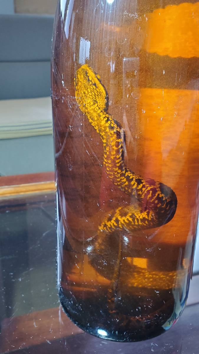 相談出来ます、マムシ酒まむし焼酎 相談出来ます、マムシ酒まむし焼酎