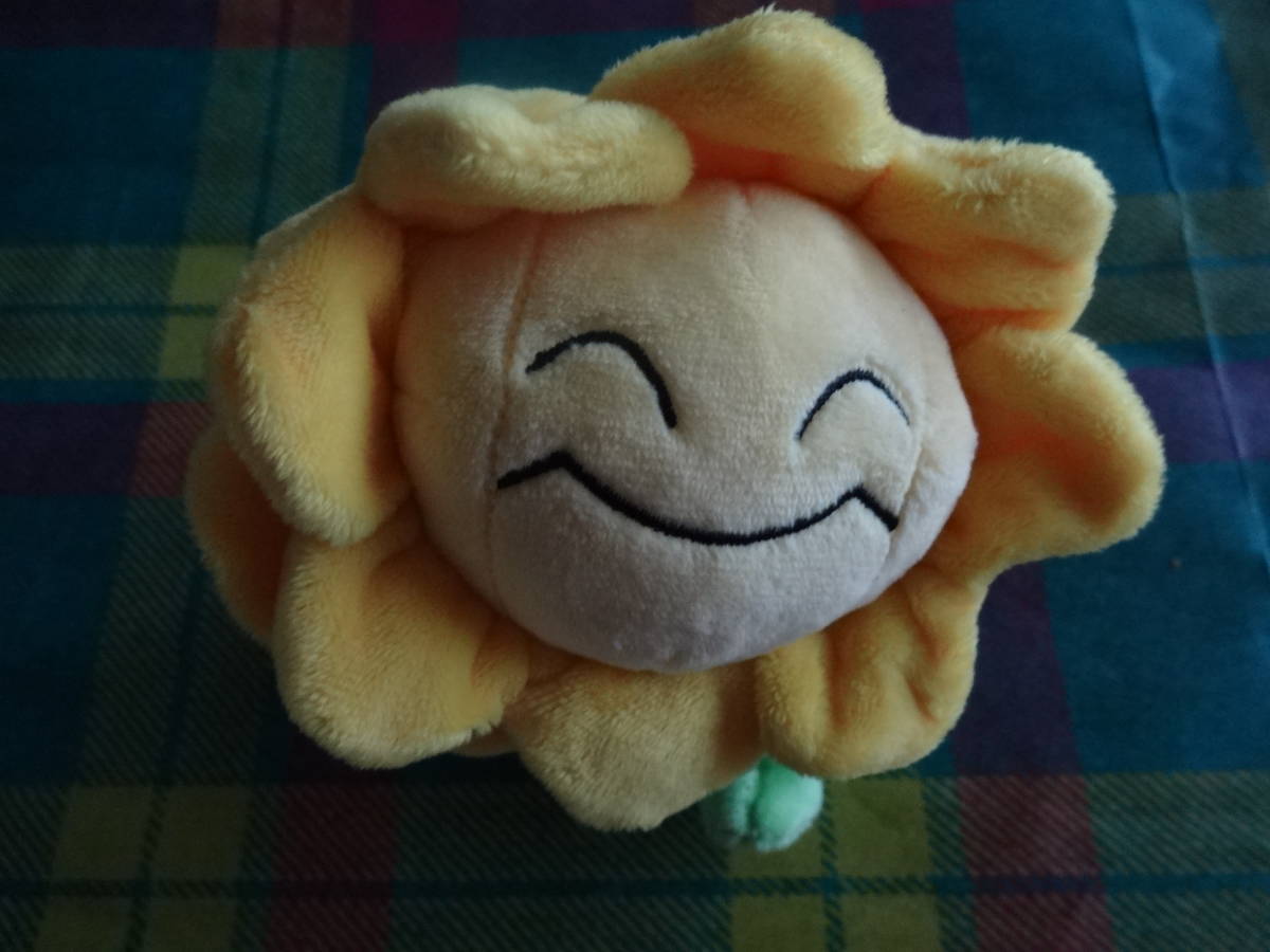 キマワリ Pokemon fit ポケモンフィット ポケモン ポケモンセンター