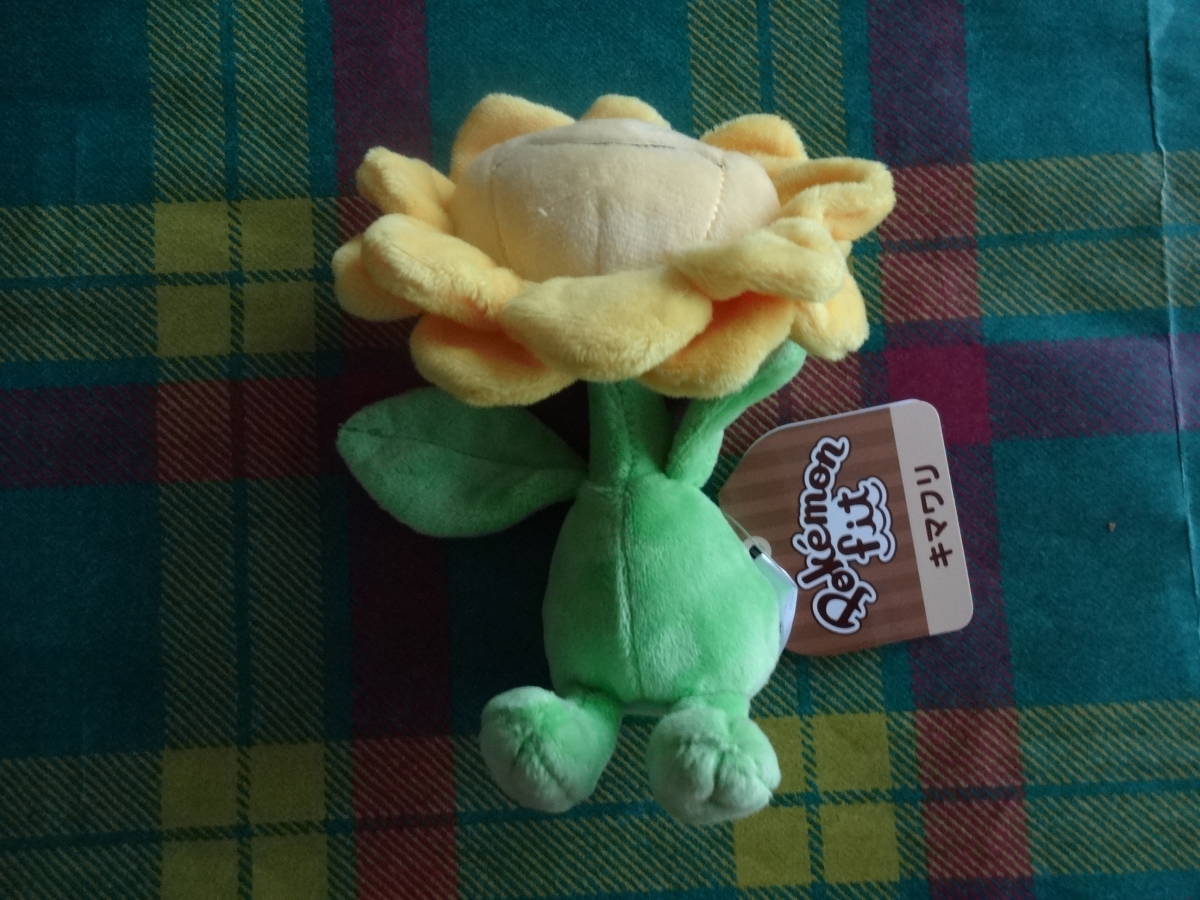 キマワリ Pokemon fit ポケモンフィット ポケモン ポケモンセンター