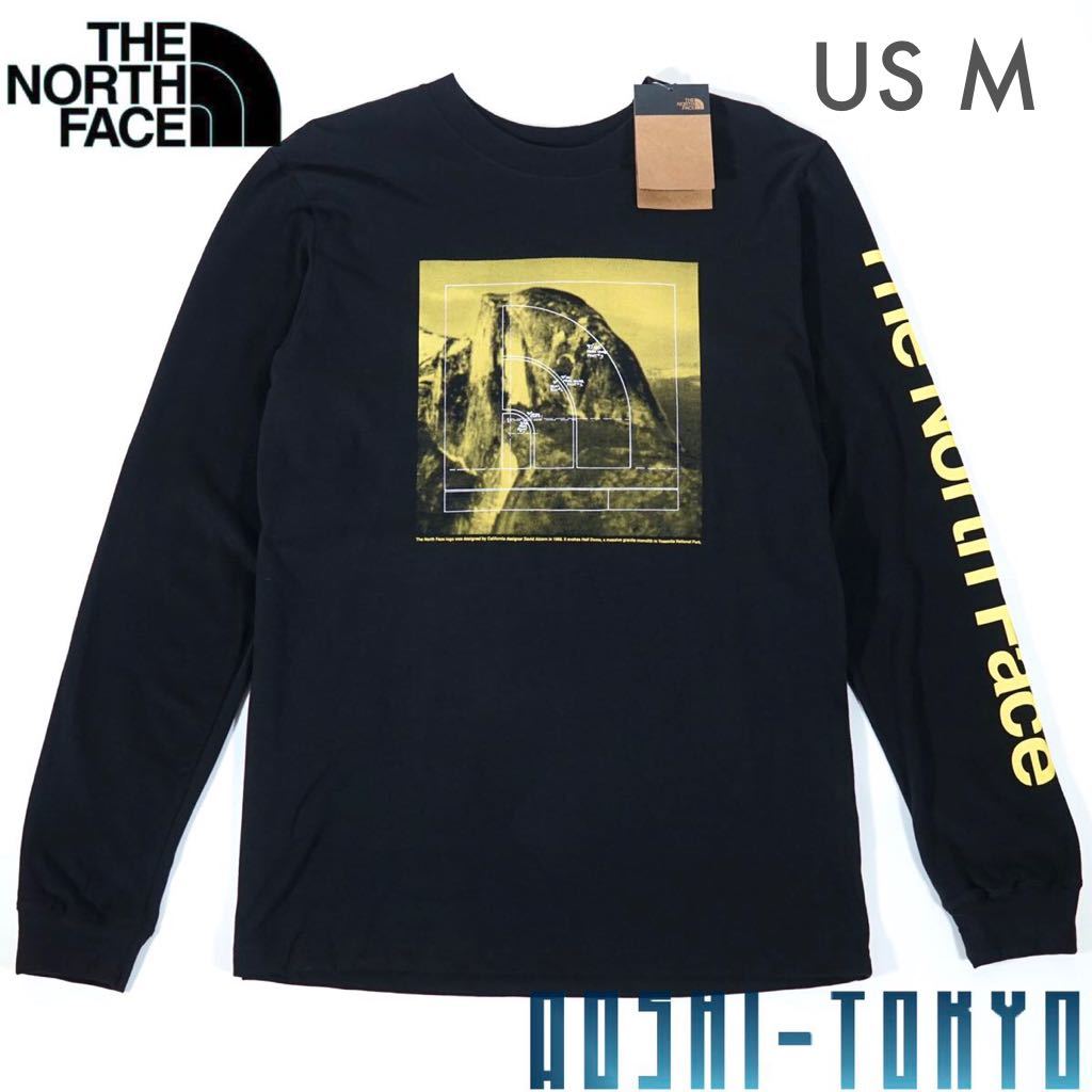 ノースフェイス ロンT North Face NORTH The FACE ザ LOGOMETRICS LONG NSE 日本未発売の通販 | THE Tシャツ シックス