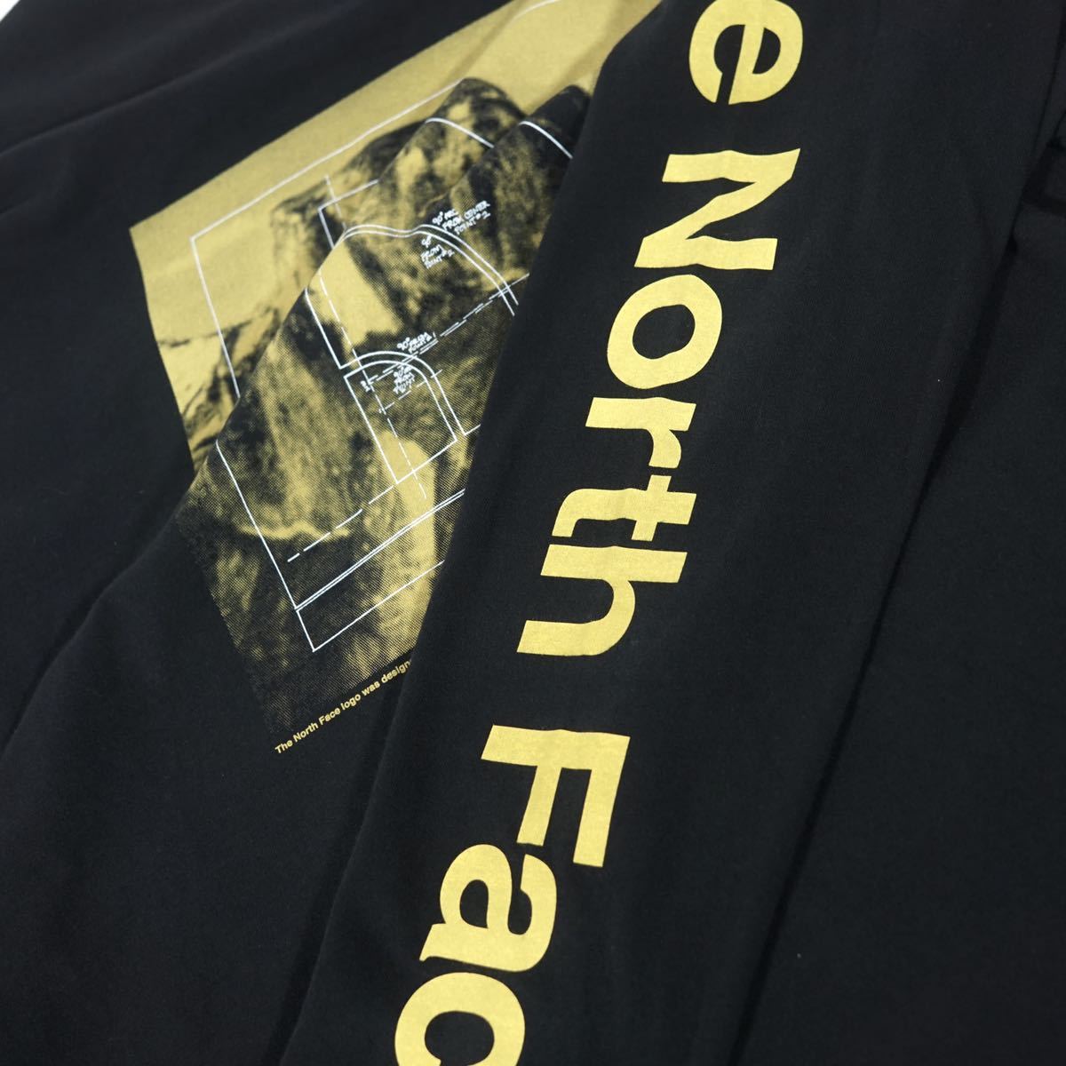 ノースフェイス ロンT North Face NORTH The FACE ザ LOGOMETRICS LONG NSE 日本未発売の通販 | THE Tシャツ シックス