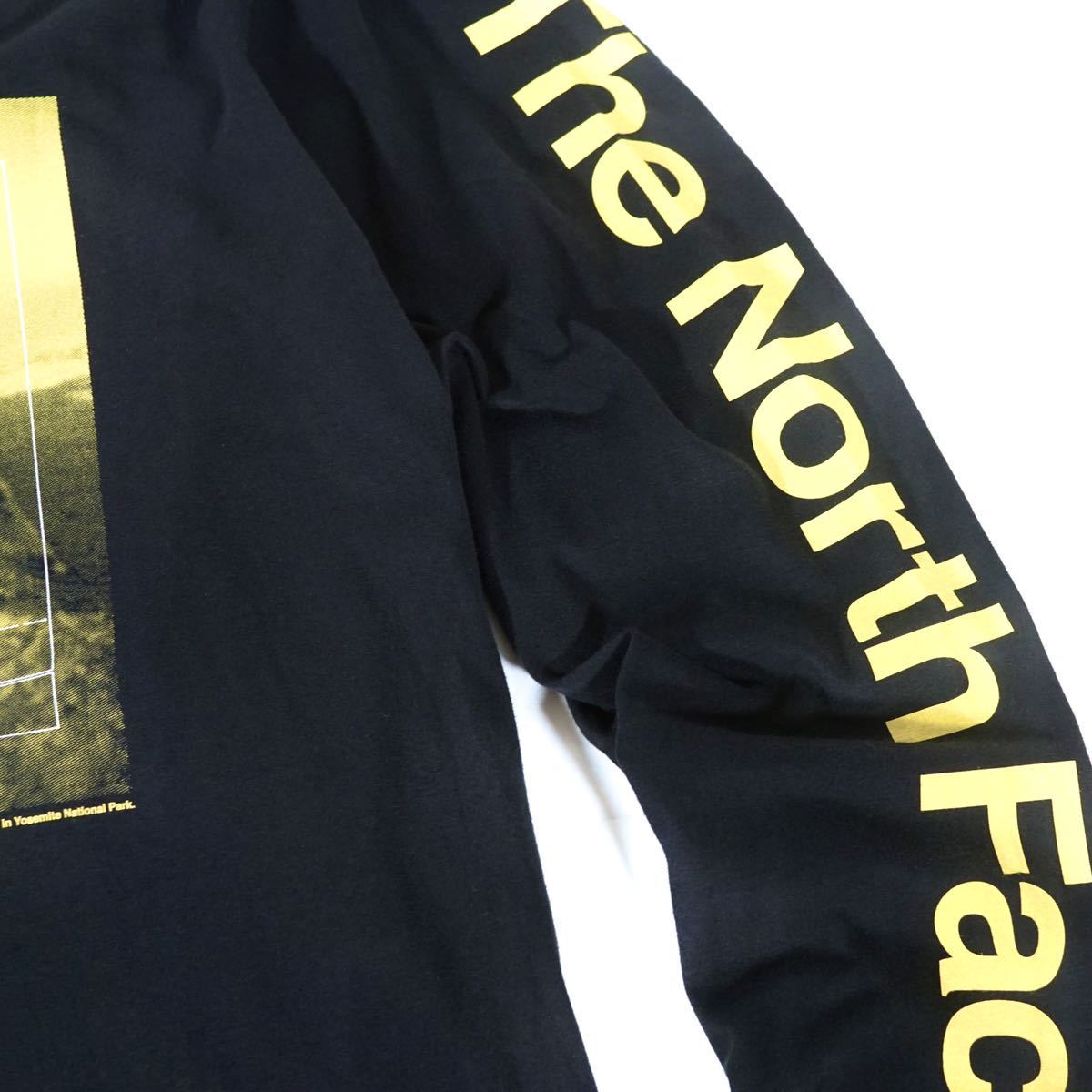 ノースフェイス ロンT North Face NORTH The FACE ザ LOGOMETRICS LONG NSE 日本未発売の通販 | THE Tシャツ シックス