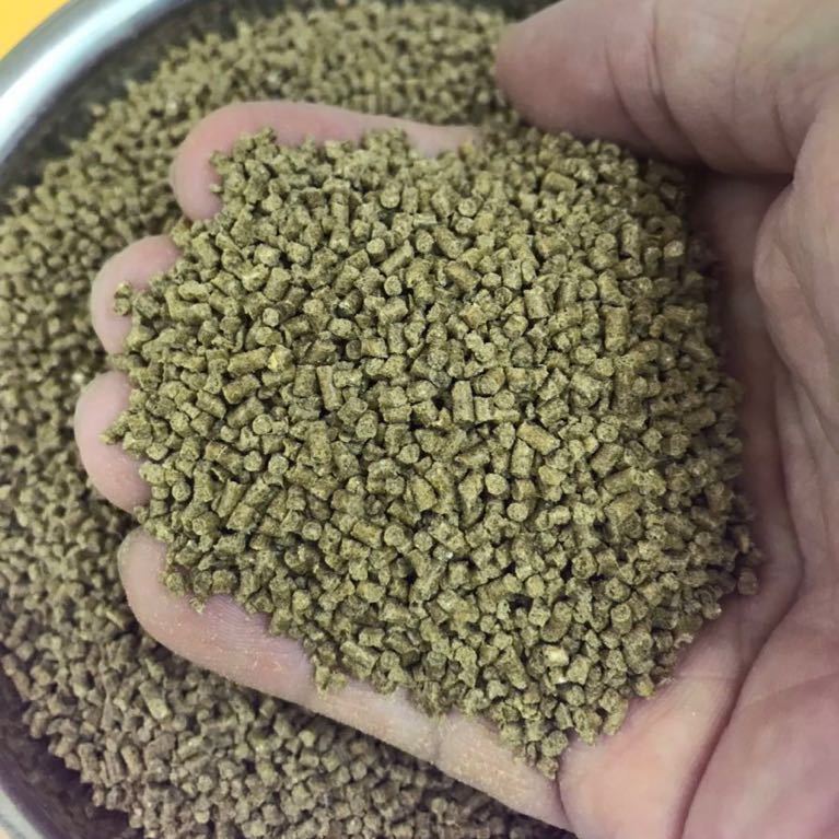 2㎜ペレット4kg入り らんちゅう 錦鯉 金魚に最適 高タンパク餌 消化吸収の良い餌 粉やクズの少ない高品質な餌 沈下性