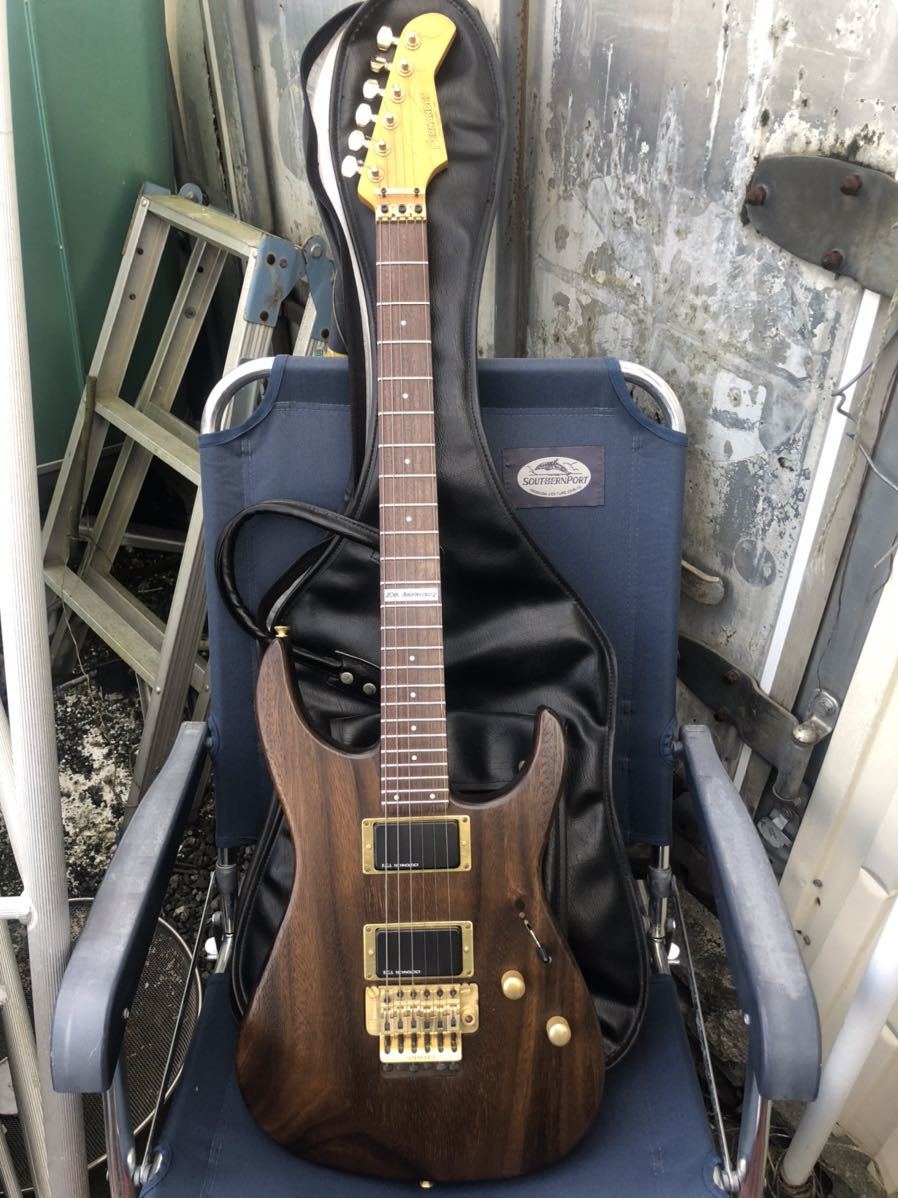 Fernandes エレキギター 、ソフトケース、アーム付き！