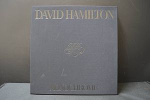 DAVID HAMILTONのYahoo!オークション(旧ヤフオク!)の相場・価格を見る