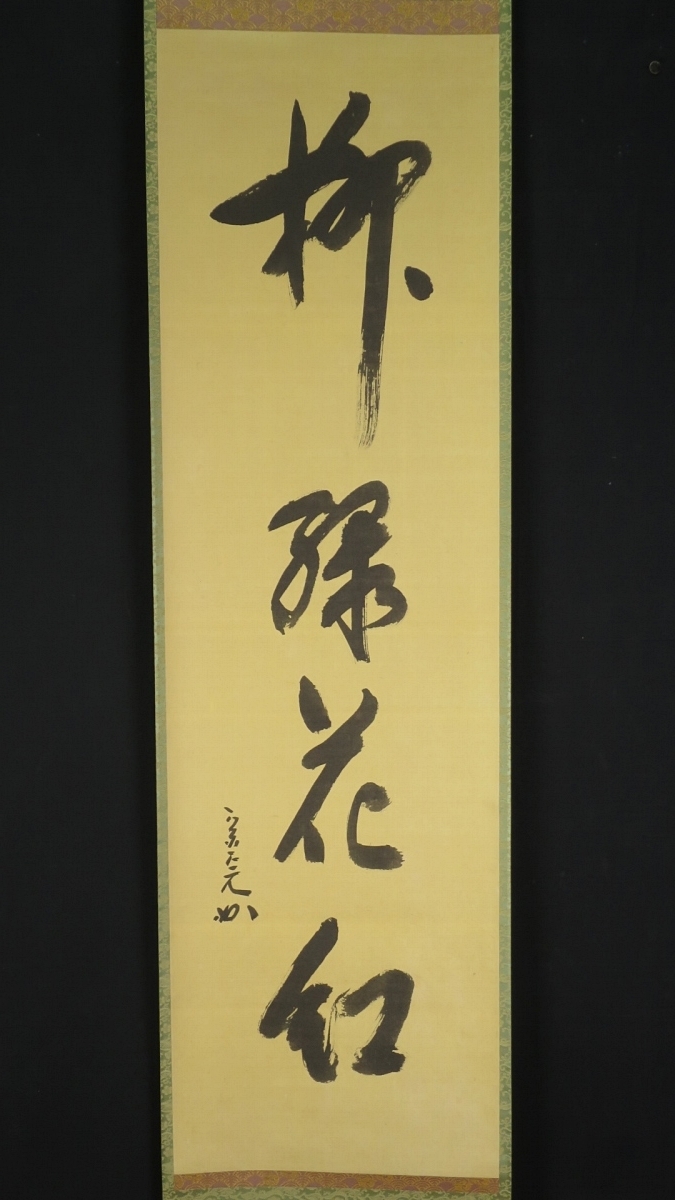 6□掛軸 堀内宗完 『柳緑花紅』 肉筆 紙本 共箱 茶道具 茶掛 一行書