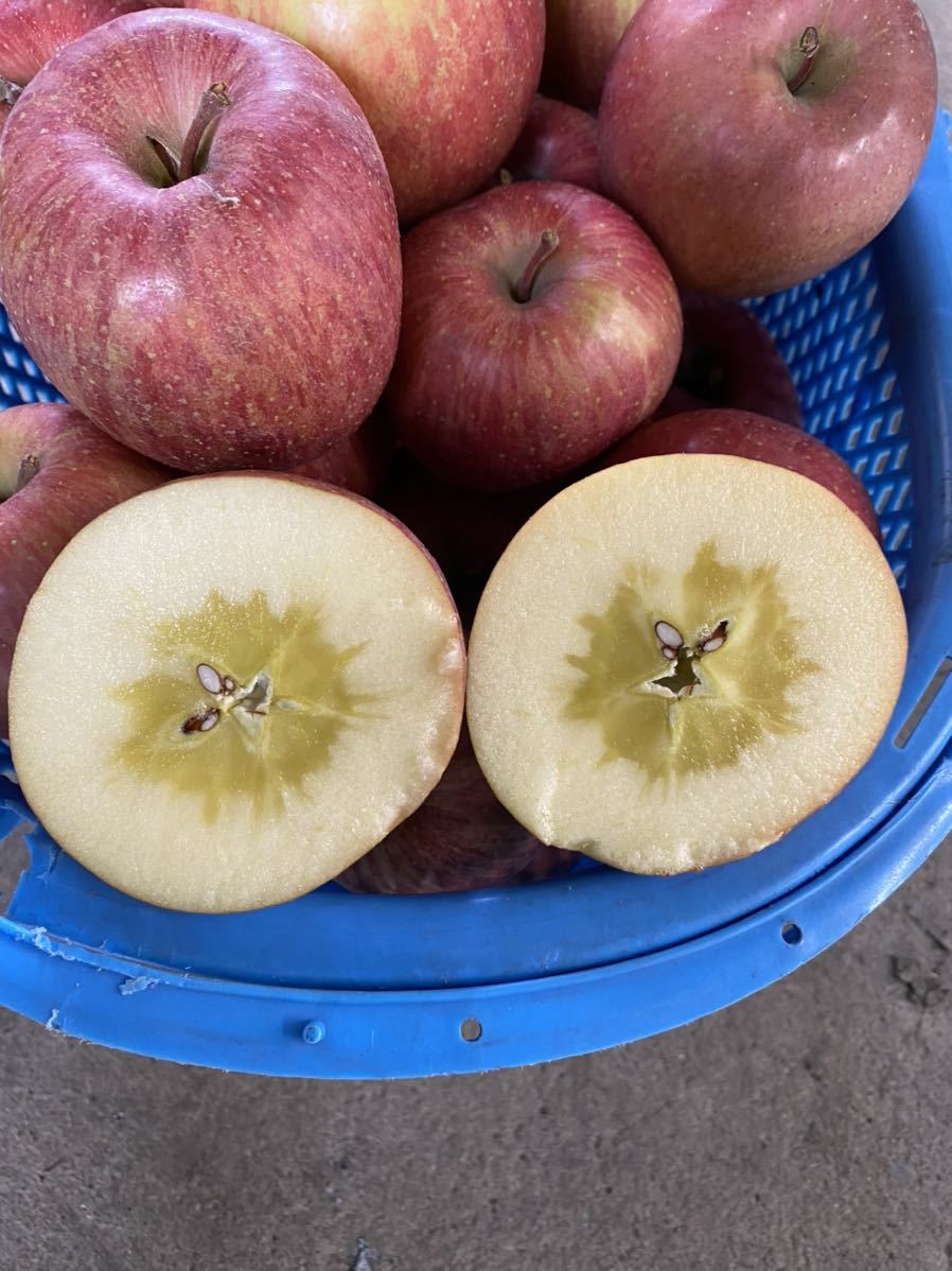 青森県産　家庭用葉取らずサンフジ5キロ 葉取らずサンふじ家庭用 訳あり５キロ：青森県産のふじ｜食べ 葉とらずサンふじ家庭用5kg&frasl;平均糖度13度以上もったいない！を 青森りんご5キロオマケ付き 葉とらずサンふじ ご家庭用ランク