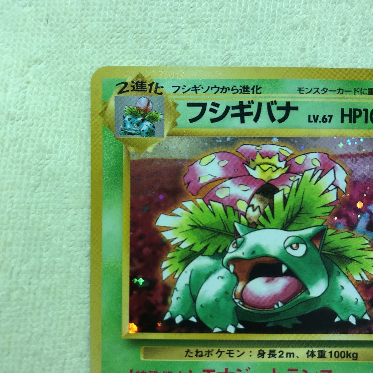 在庫限り 良品 旧裏面 とりかえっこフシギバナ ポケモンカード 日本最大級 Www Yourazlawyer Com