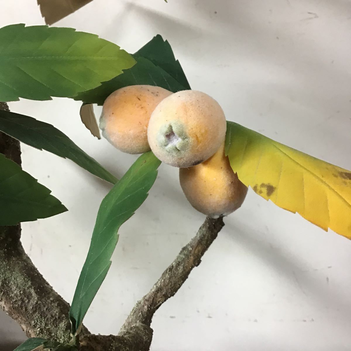 お手入れ不要 アート 中国美術 枇杷 造花 盆栽 鑑賞 高さ52cm 蘭鉢 人工観葉植物 果物 果実 オブジェ 唐物 古玩 フェイク さつき盆栽 盆栽 売買されたオークション情報 Yahooの商品情報をアーカイブ公開 オークファン Aucfan Com