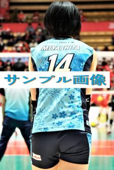 2XOサイズ 宮下遥選手モデル 女子バレー レプリカユニフォーム 2024年 宮下 遥のYahoo!オークション(旧ヤフオク!)の相場・価格を見る｜Yahoo