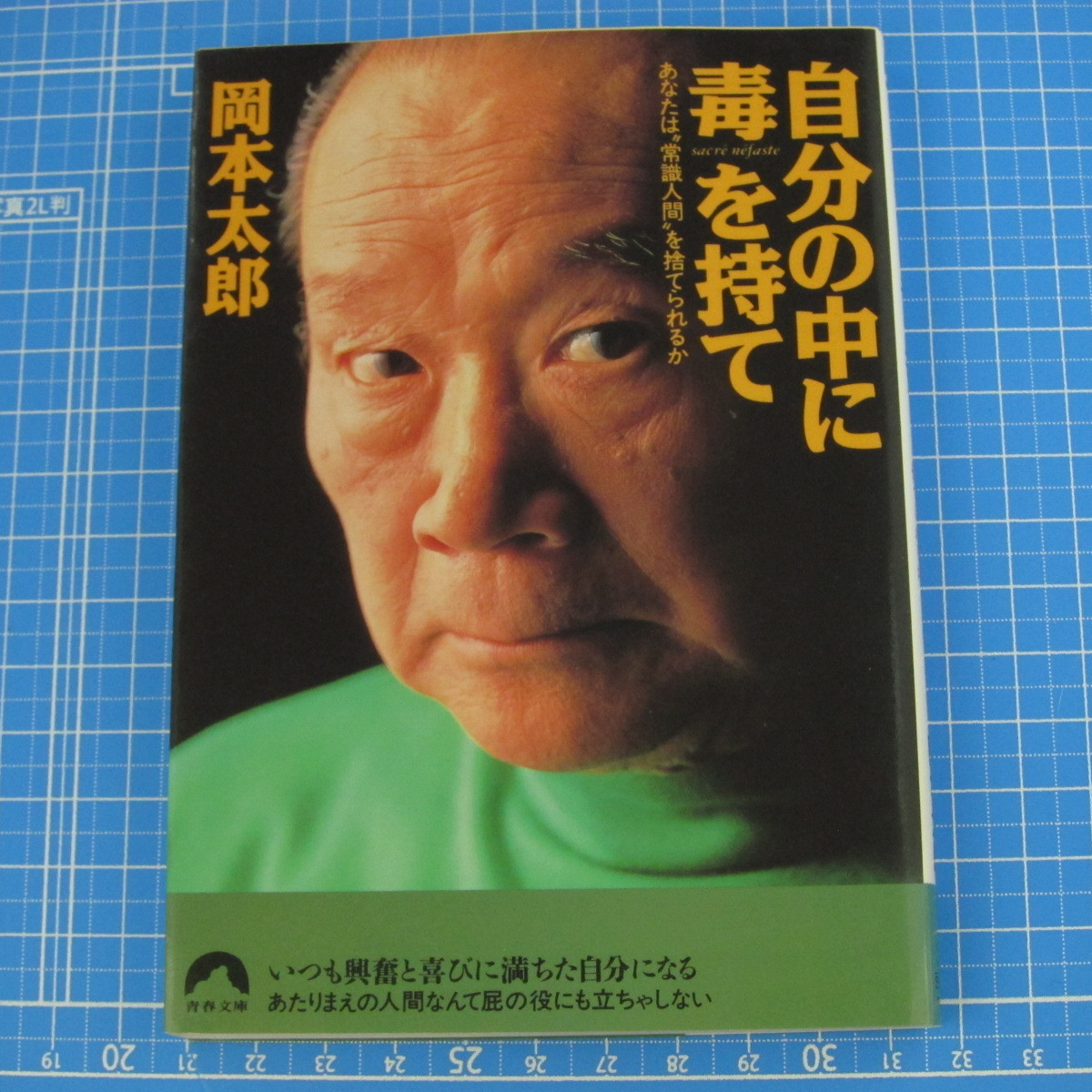 自分の中に毒を持て 青春文庫 岡本 太郎 02年9刷 自己啓発 売買されたオークション情報 Yahooの商品情報をアーカイブ公開 オークファン Aucfan Com