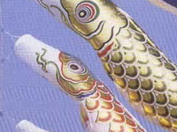 こいのぼり 鯉のぼり 単品 3m 黄金錦鯉 | 節句 : 金箔 庭用金箔大空鯉