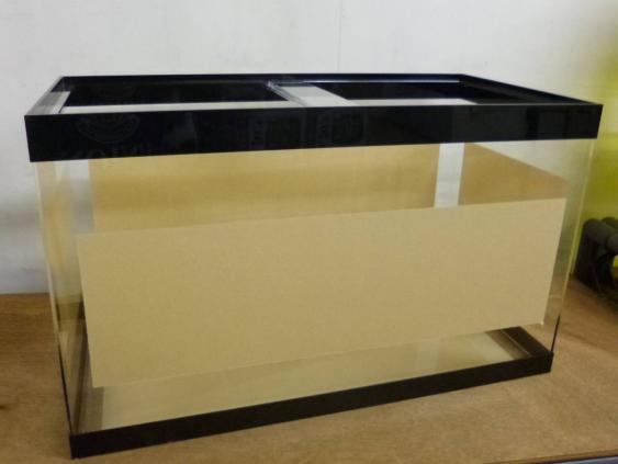 ADA 水槽 | CRPOK.COM