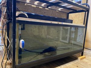 水槽 1200のYahoo!オークション(旧ヤフオク!)の相場・価格を見る