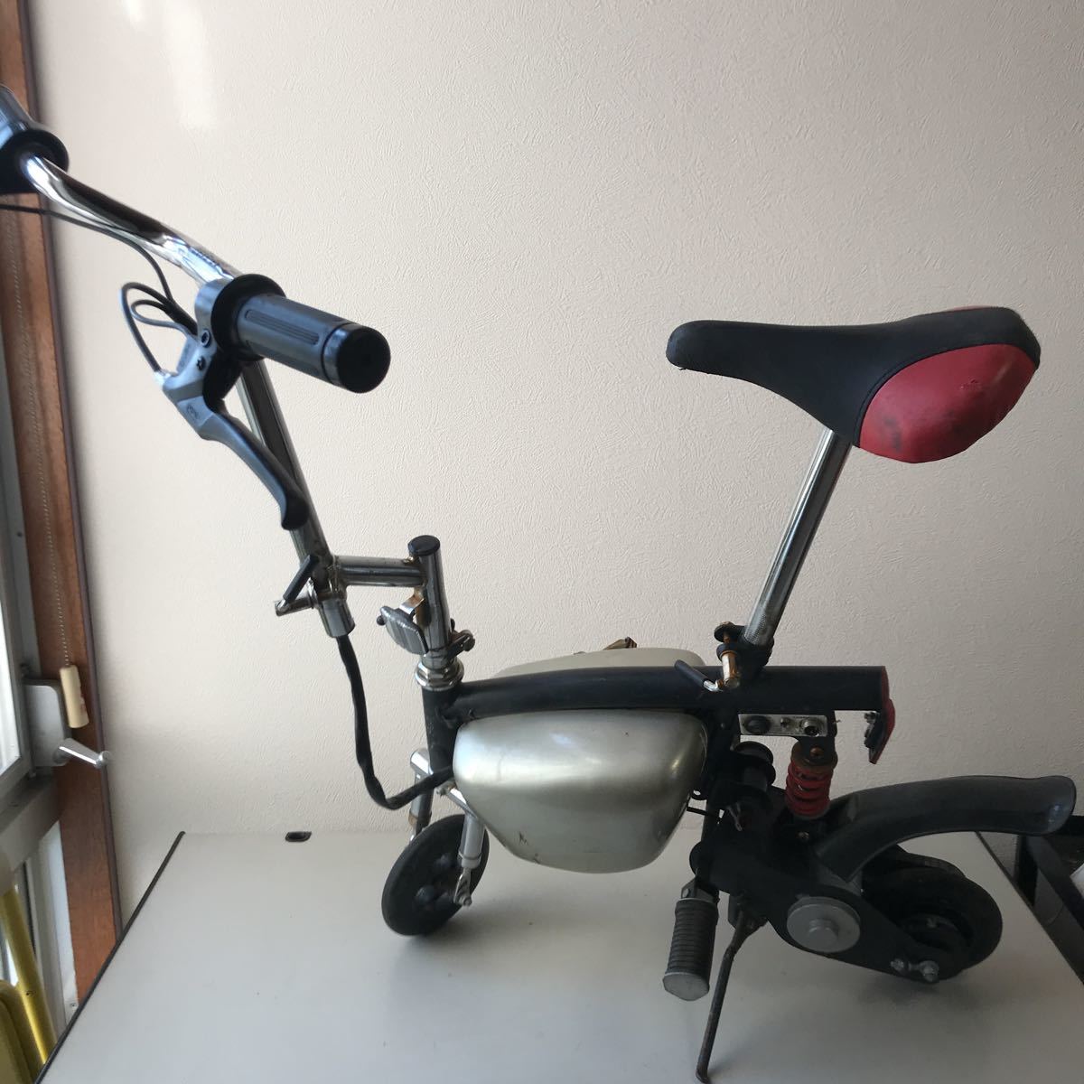 エレクトリックライダー 電動バイク エレクトリックライダー 電動