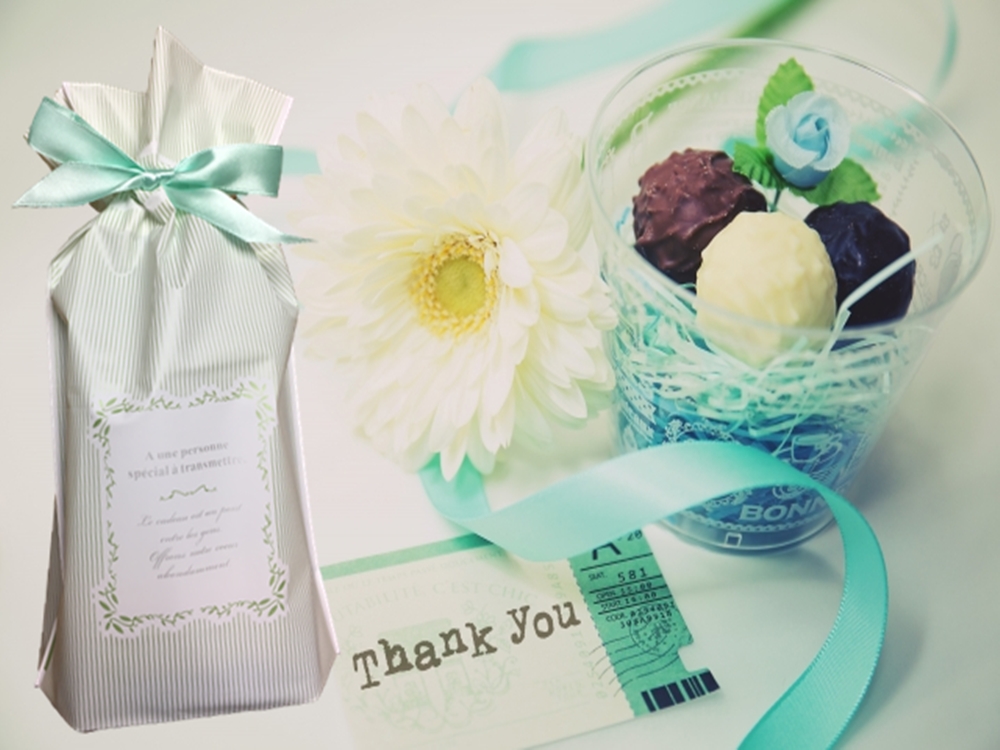 ラッピング袋 リボン マチ付き かわいい プレゼント用 袋 10枚 贈り物 包装 限定モデル ラッピング袋 リボン マチ付き かわいい プレゼント用 袋 10枚 贈り物 包装 限定モデル