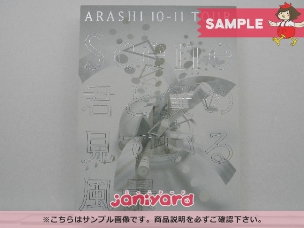 10-11 ARASHI TOUR 嵐 Scene 君と僕の見ている風景 DVD DVD
