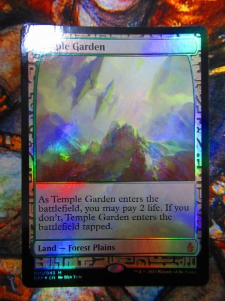 ☆MTG Foil 寺院の庭/Temple Garden EXP エクスペディション